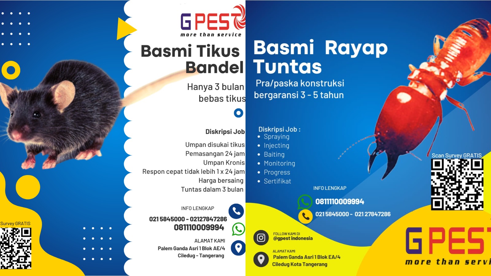 WhatsApp Image 2025-09-23 at 10.06.41 AM (3)