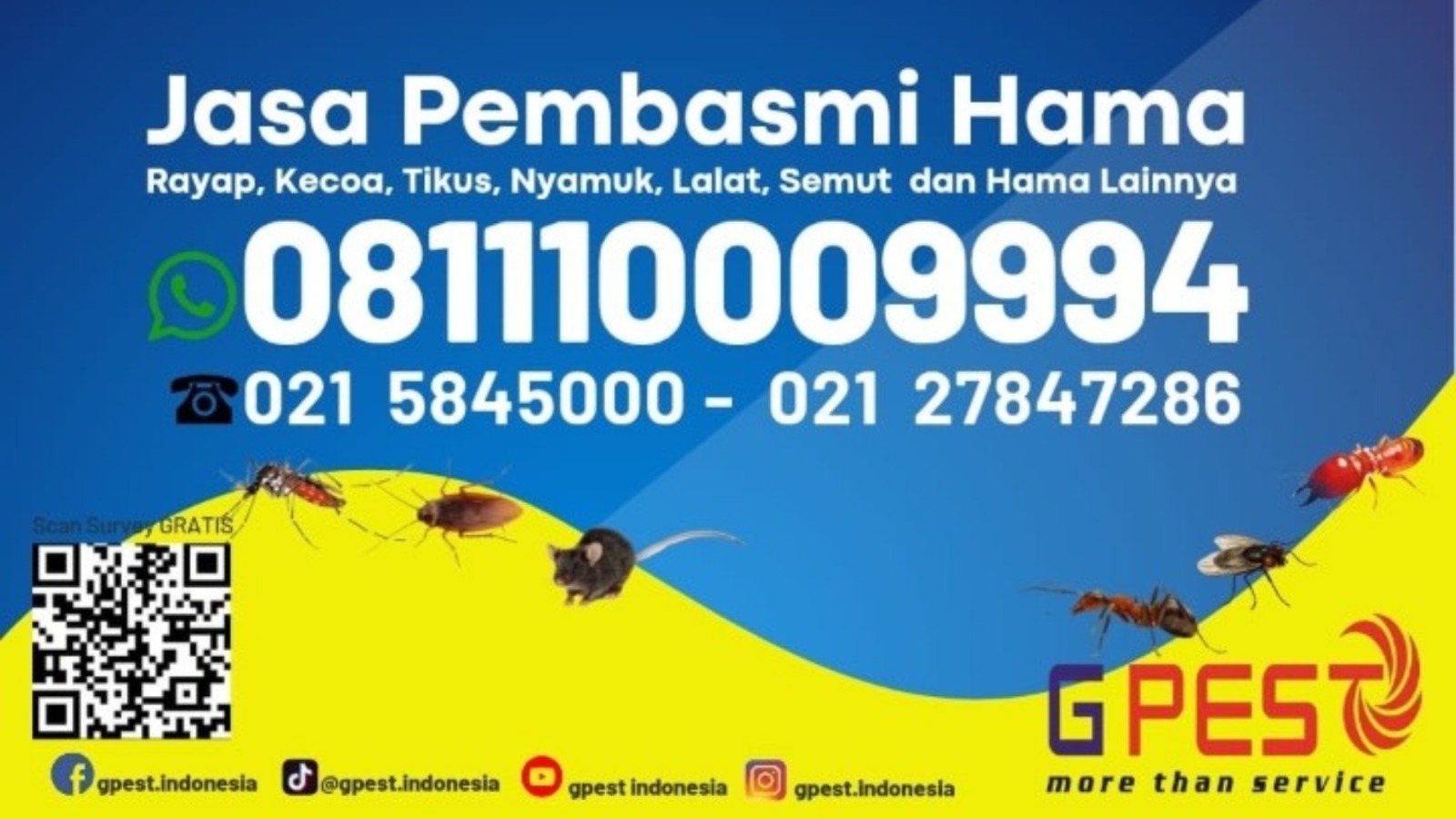 WhatsApp Image 2025-09-23 at 10.06.41 AM