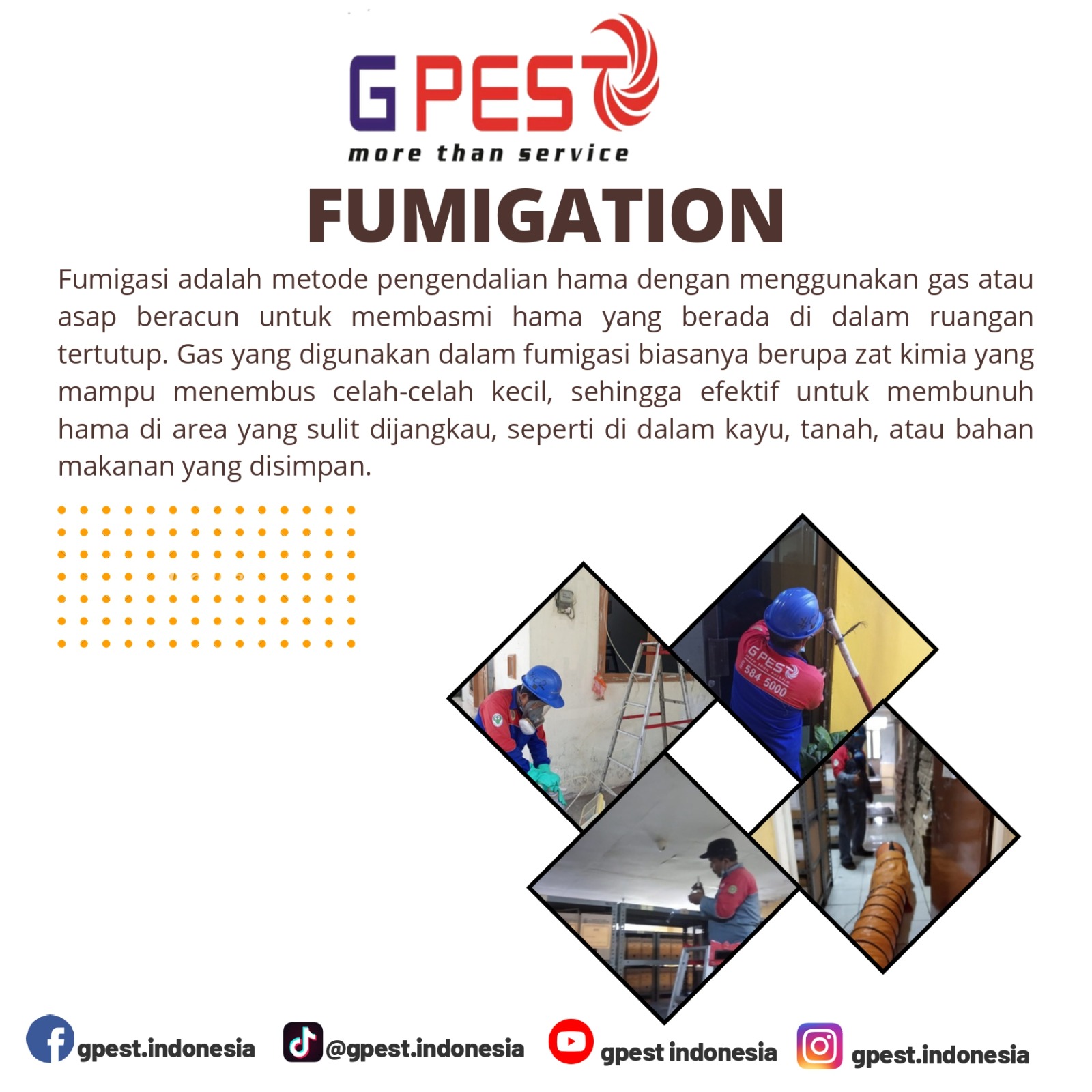 WhatsApp Image 2025-09-23 at 10.06.42 AM (8)